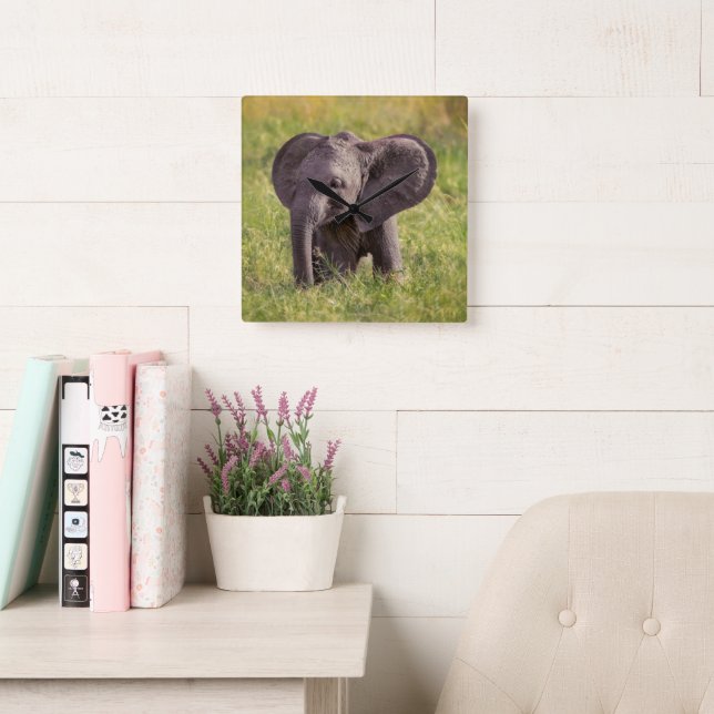 Cutest Baby Animals | Baby Elephant Kenya Africa Square Wall Clock (Reading Room)