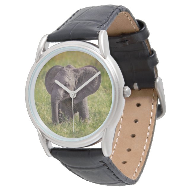 Cutest Baby Animals | Baby Elephant Kenya Africa Watch (Angled)
