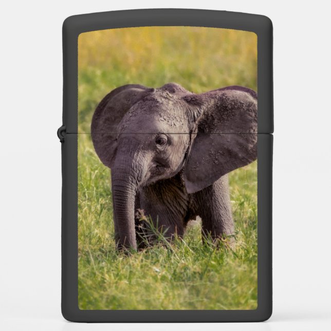 Cutest Baby Animals | Baby Elephant Kenya Africa Zippo Lighter (Front)