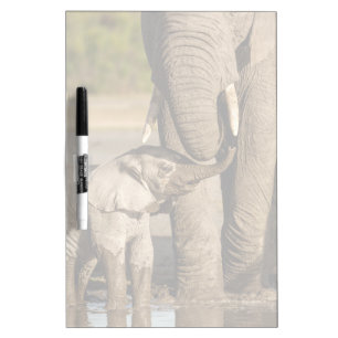 Cutest Baby Animals   Baby Elephant & Mama Dry Erase Board
