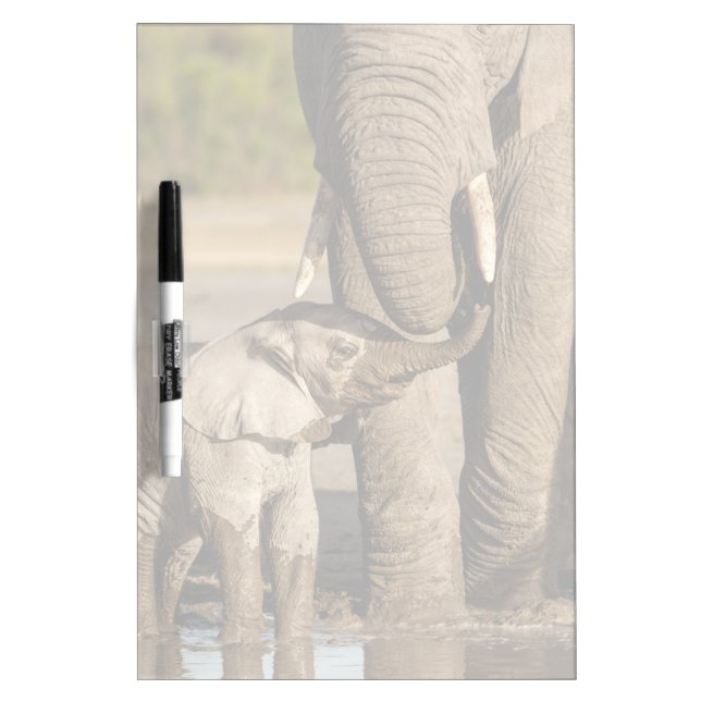 Cutest Baby Animals | Baby Elephant & Mama Dry Erase Board (Front)