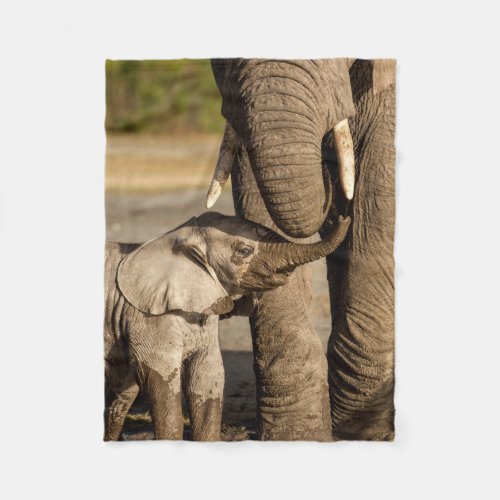 Cutest Baby Animals  Baby Elephant  Mama Fleece Blanket