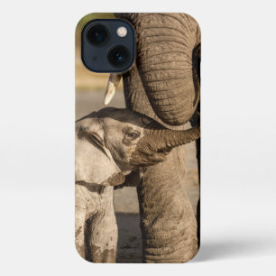 Cutest Baby Animals   Baby Elephant & Mama iPhone 13 Case