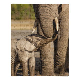 Cutest Baby Animals Baby Elephant & Mama Jigsaw Puzzle