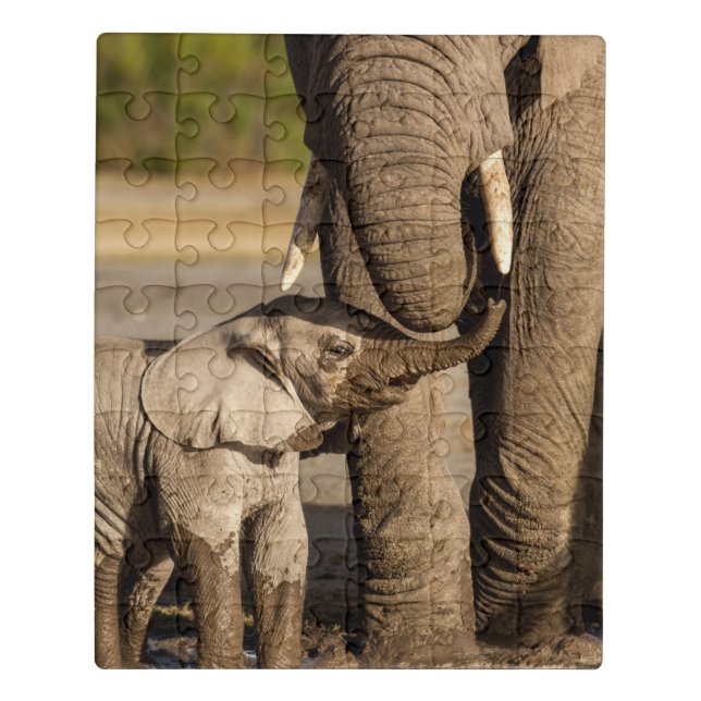 Cutest Baby Animals | Baby Elephant & Mama Jigsaw Puzzle (Puzzle Vertical)