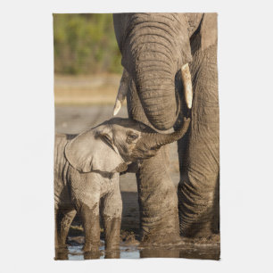 Cutest Baby Animals Baby Elephant & Mama Kitchen Towel
