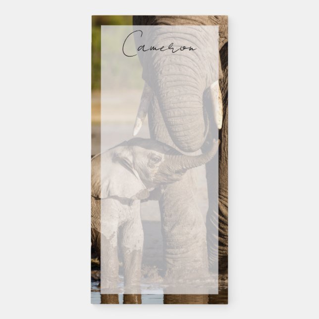 Cutest Baby Animals | Baby Elephant & Mama Magnetic Notepad (Front)