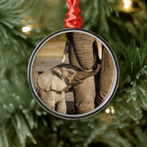 Cutest Baby Animals  Baby Elephant  Mama Metal Ornament