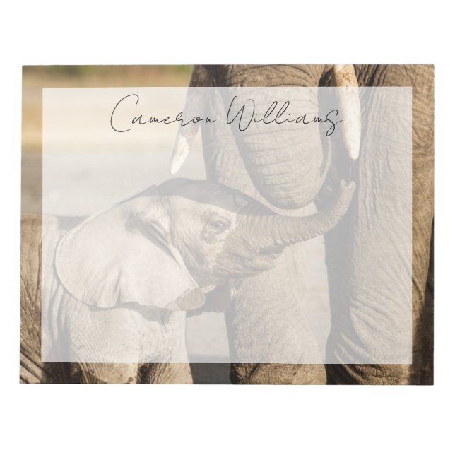 Cutest Baby Animals | Baby Elephant & Mama Notepad (Front)