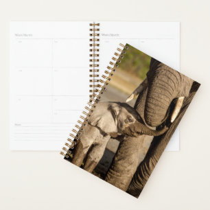 Cutest Baby Animals Baby Elephant & Mama Planner