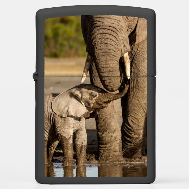 Cutest Baby Animals | Baby Elephant & Mama Zippo Lighter (Front)