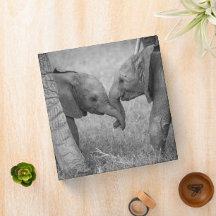 Cutest Baby Animals Baby Elephants Greeting 3 Ring Binder