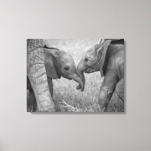 Cutest Baby Animals   Baby Elephants Greeting Canvas Print