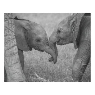 Cutest Baby Animals Baby Elephants Greeting Faux Canvas Print