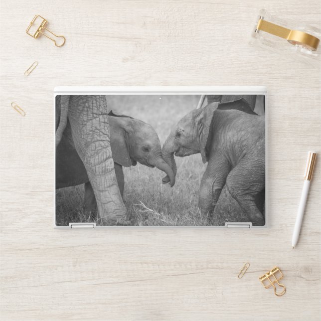 Cutest Baby Animals | Baby Elephants Greeting HP Laptop Skin (Desk)