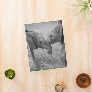 Cutest Baby Animals   Baby Elephants Greeting Mini Binder
