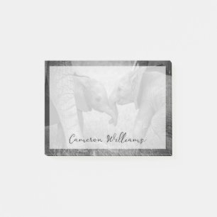 Cutest Baby Animals   Baby Elephants Greeting Post-it Notes