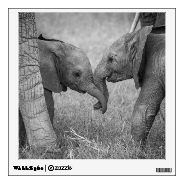 Cutest Baby Animals | Baby Elephants Greeting Wall Decal (Front)