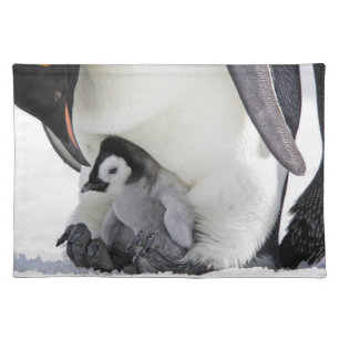 Cutest Baby Animals   Baby Emperor Penguin Cloth Placemat