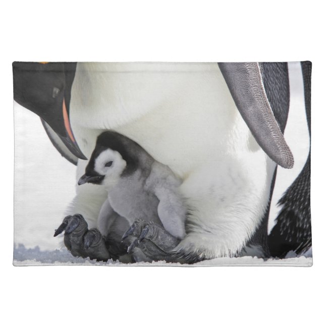 Cutest Baby Animals | Baby Emperor Penguin Cloth Placemat (Front)