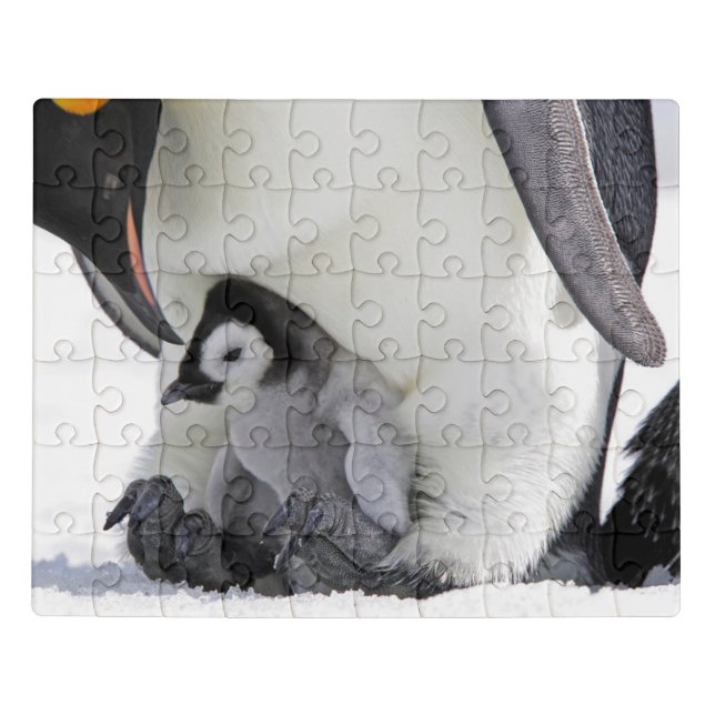 Cutest Baby Animals | Baby Emperor Penguin Jigsaw Puzzle (Puzzle Horizontal)