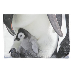 Cutest Baby Animals   Baby Emperor Penguin Pillow Case