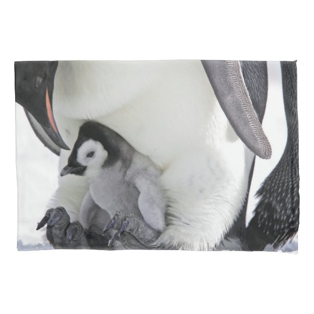 Cutest Baby Animals | Baby Emperor Penguin Pillow Case (Front)