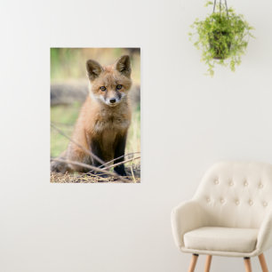 Cutest Baby Animals Baby Fox Foam Board