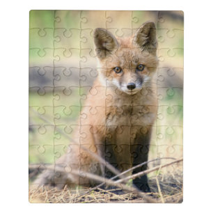 Cutest Baby Animals Baby Fox Jigsaw Puzzle