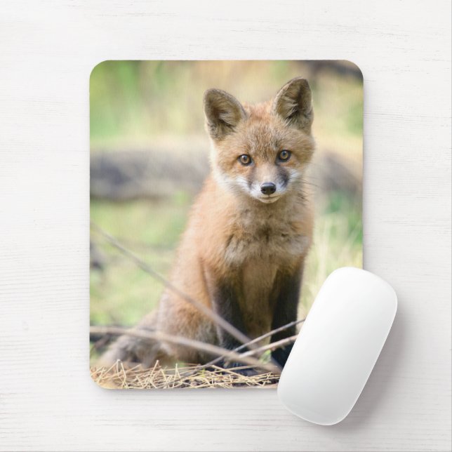 Cutest Baby Animals | Baby Fox Mouse Pad (With Mouse)