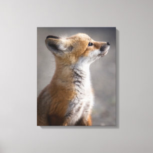 Cutest Baby Animals Baby Fox Portrait Canvas Print
