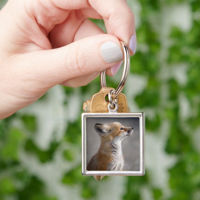 Cutest Baby Animals | Baby Fox Portrait Keychain (Hand)