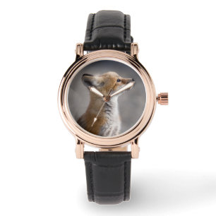 Cutest Baby Animals   Baby Fox Portrait Watch