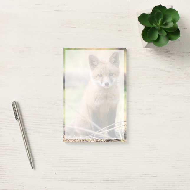 Cutest Baby Animals | Baby Fox Post-it Notes (Office)