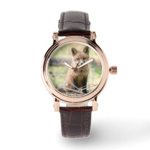 Cutest Baby Animals Baby Fox Watch