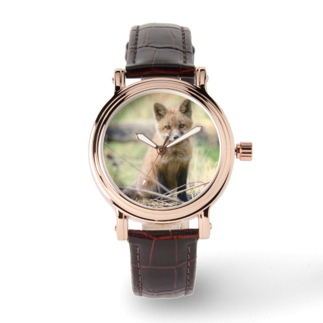 Cutest Baby Animals | Baby Fox Watch (Front)