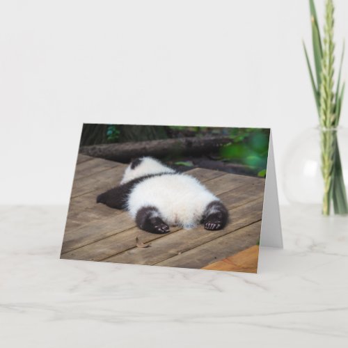 Cutest Baby Animals  Baby Giant Panda Sleeping Card