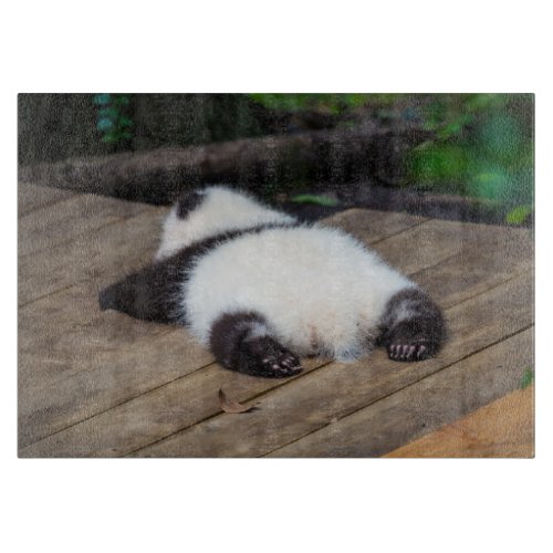 Cutest Baby Animals  Baby Giant Panda Sleeping Cutting Board