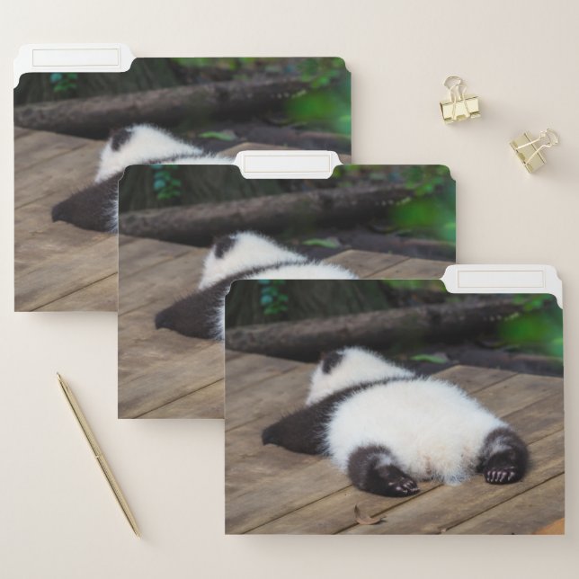 Cutest Baby Animals | Baby Giant Panda Sleeping File Folder (Set)