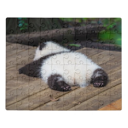 Cutest Baby Animals  Baby Giant Panda Sleeping Jigsaw Puzzle