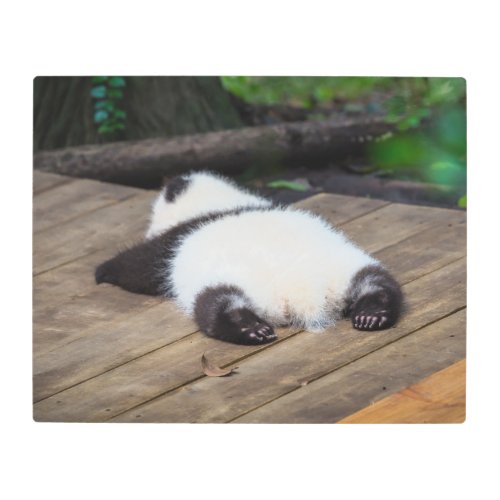 Cutest Baby Animals  Baby Giant Panda Sleeping Metal Print