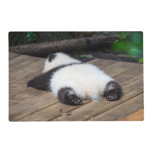 Cutest Baby Animals  Baby Giant Panda Sleeping Placemat