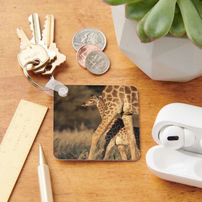 Cutest Baby Animals | Baby Giraffe & Parent Keychain (Desk)