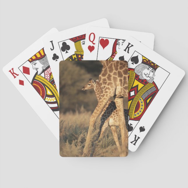 Cutest Baby Animals | Baby Giraffe & Parent Poker Cards (Back)