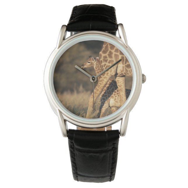 Cutest Baby Animals | Baby Giraffe & Parent Watch (Front)