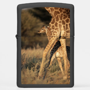 Cutest Baby Animals   Baby Giraffe & Parent Zippo Lighter