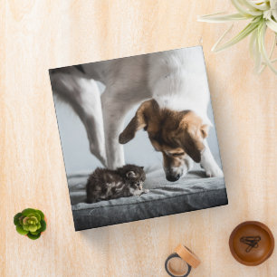 Cutest Baby Animals Baby Kitten & Dog 3 Ring Binder