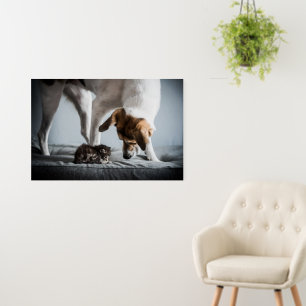 Cutest Baby Animals Baby Kitten & Dog Foam Board
