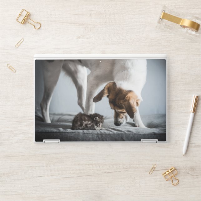 Cutest Baby Animals | Baby Kitten & Dog HP Laptop Skin (Desk)