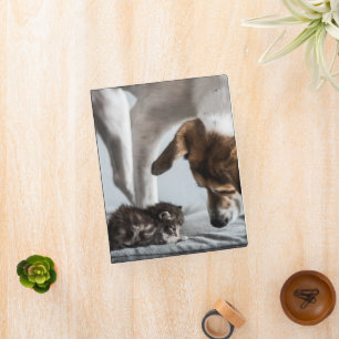 Cutest Baby Animals Baby Kitten & Dog Mini Binder